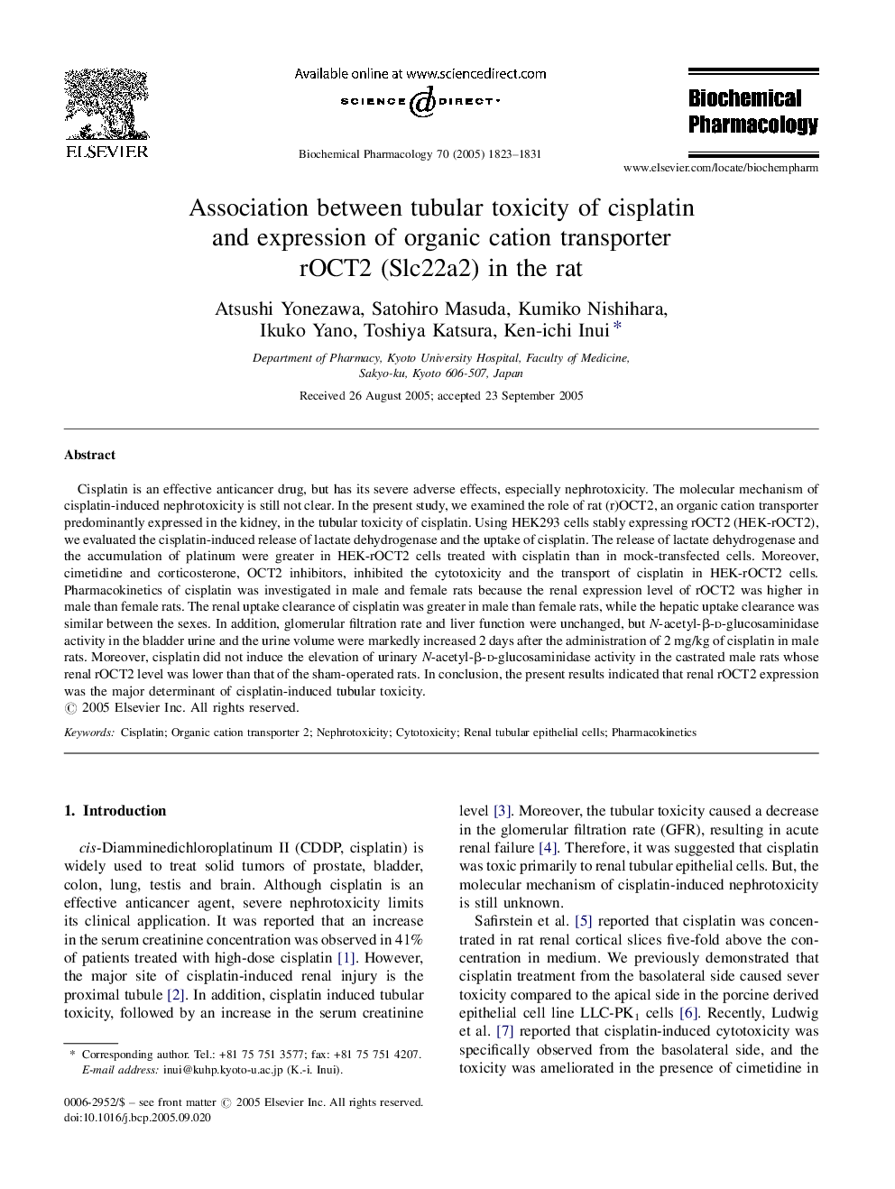 Association between tubular toxicity of cisplatin and expression of organic cation transporter rOCT2 (Slc22a2) in the rat