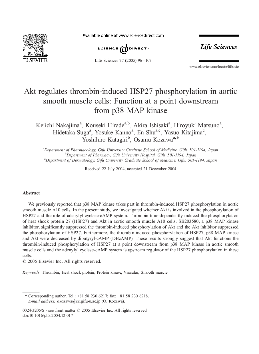 Akt regulates thrombin-induced HSP27 phosphorylation in aortic smooth muscle cells: Function at a point downstream from p38 MAP kinase