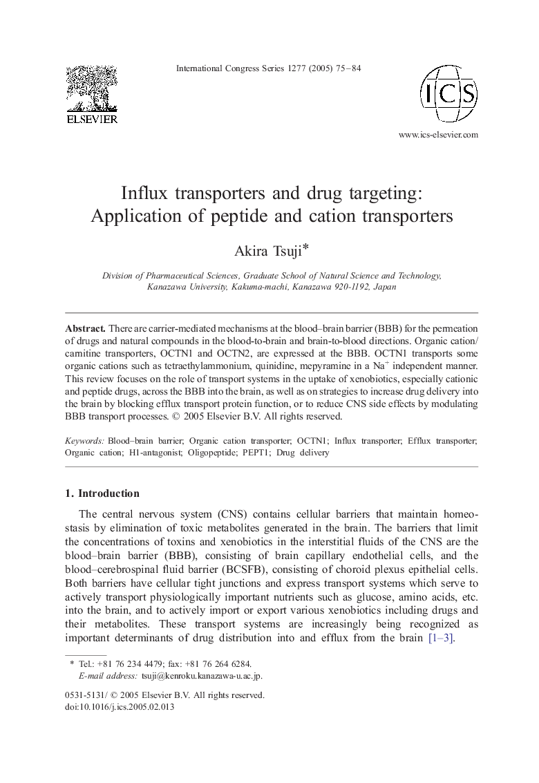 Influx transporters and drug targeting: Application of peptide and cation transporters