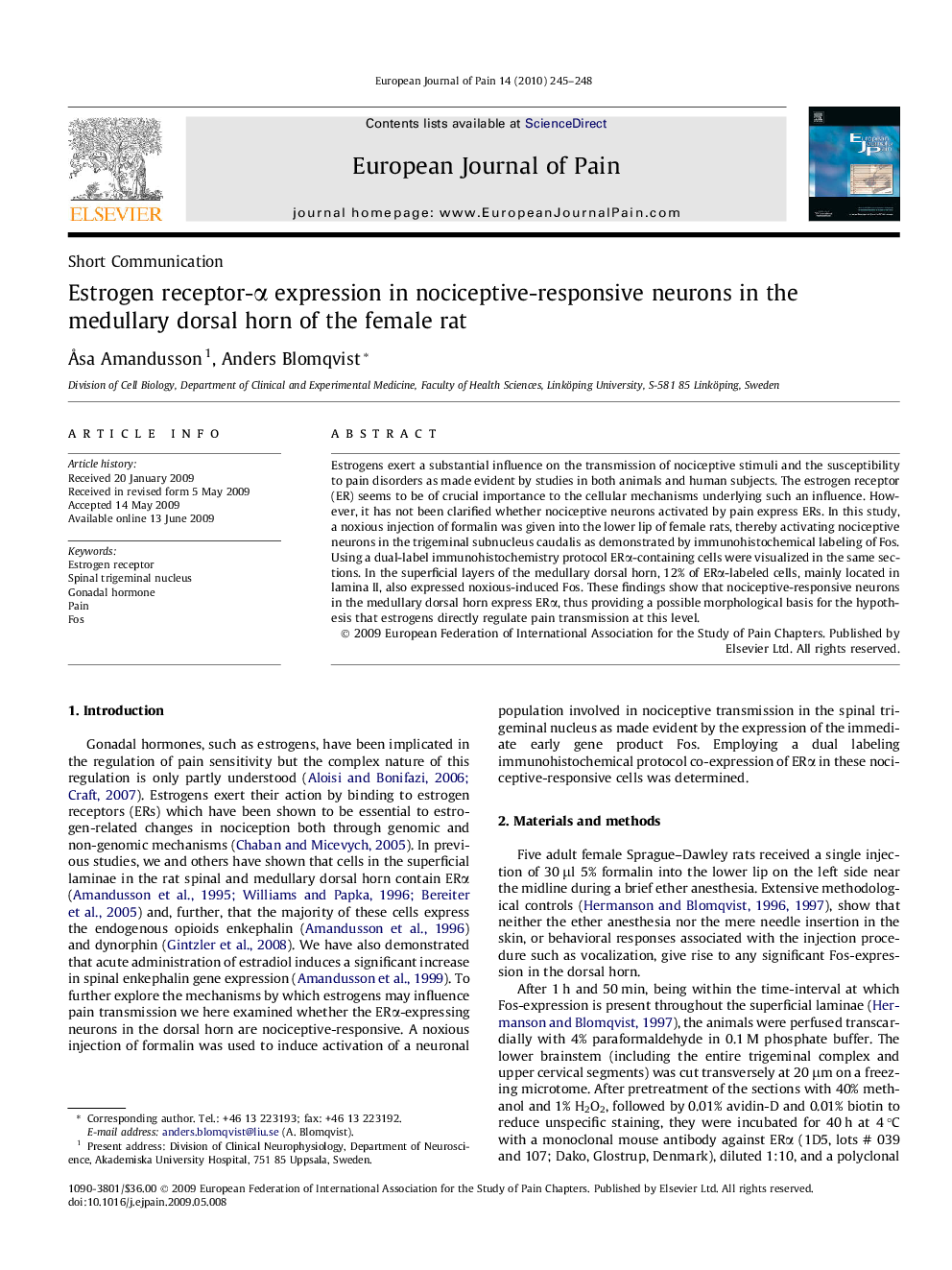 Estrogen receptor-Î± expression in nociceptive-responsive neurons in the medullary dorsal horn of the female rat