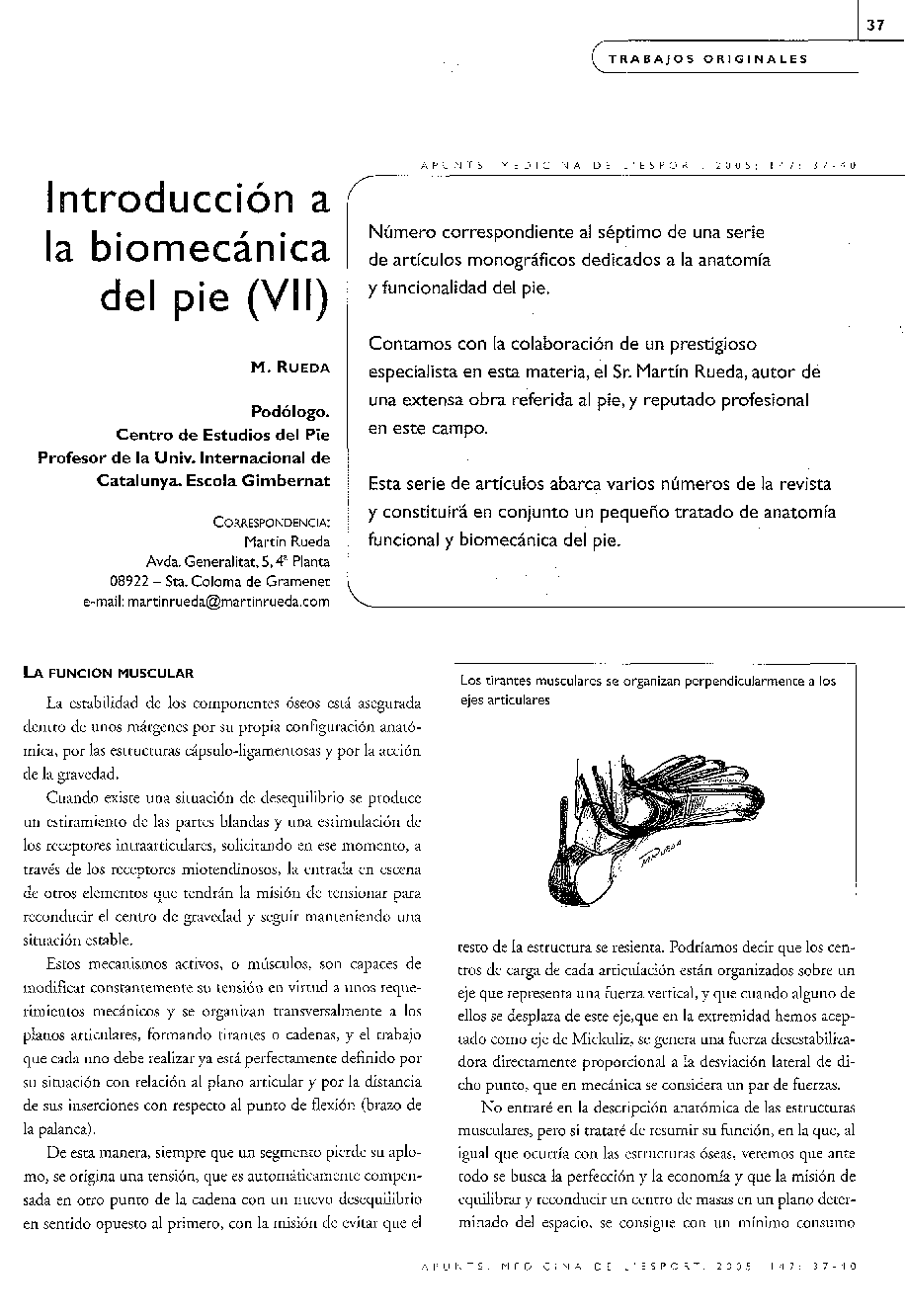 Introducción a la biomecánica del pie (VII)