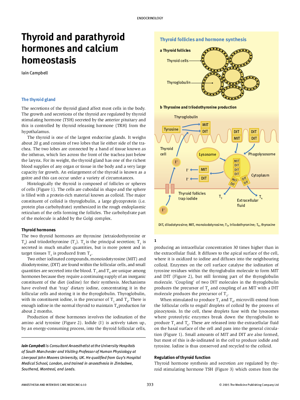 Thyroid and parathyroid hormones and calcium homeostasis