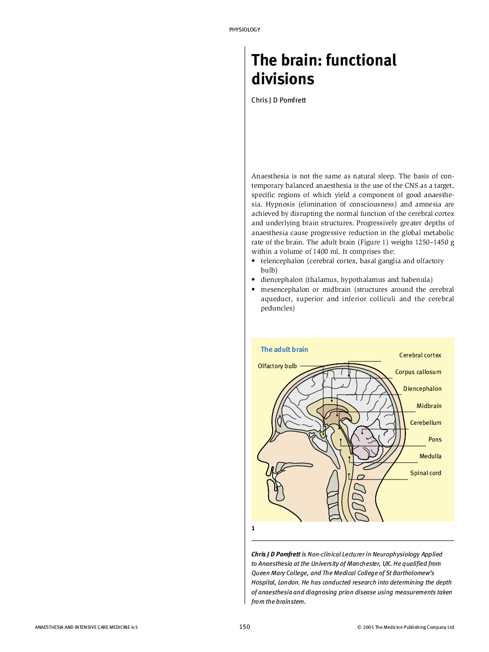 The brain: functional divisions