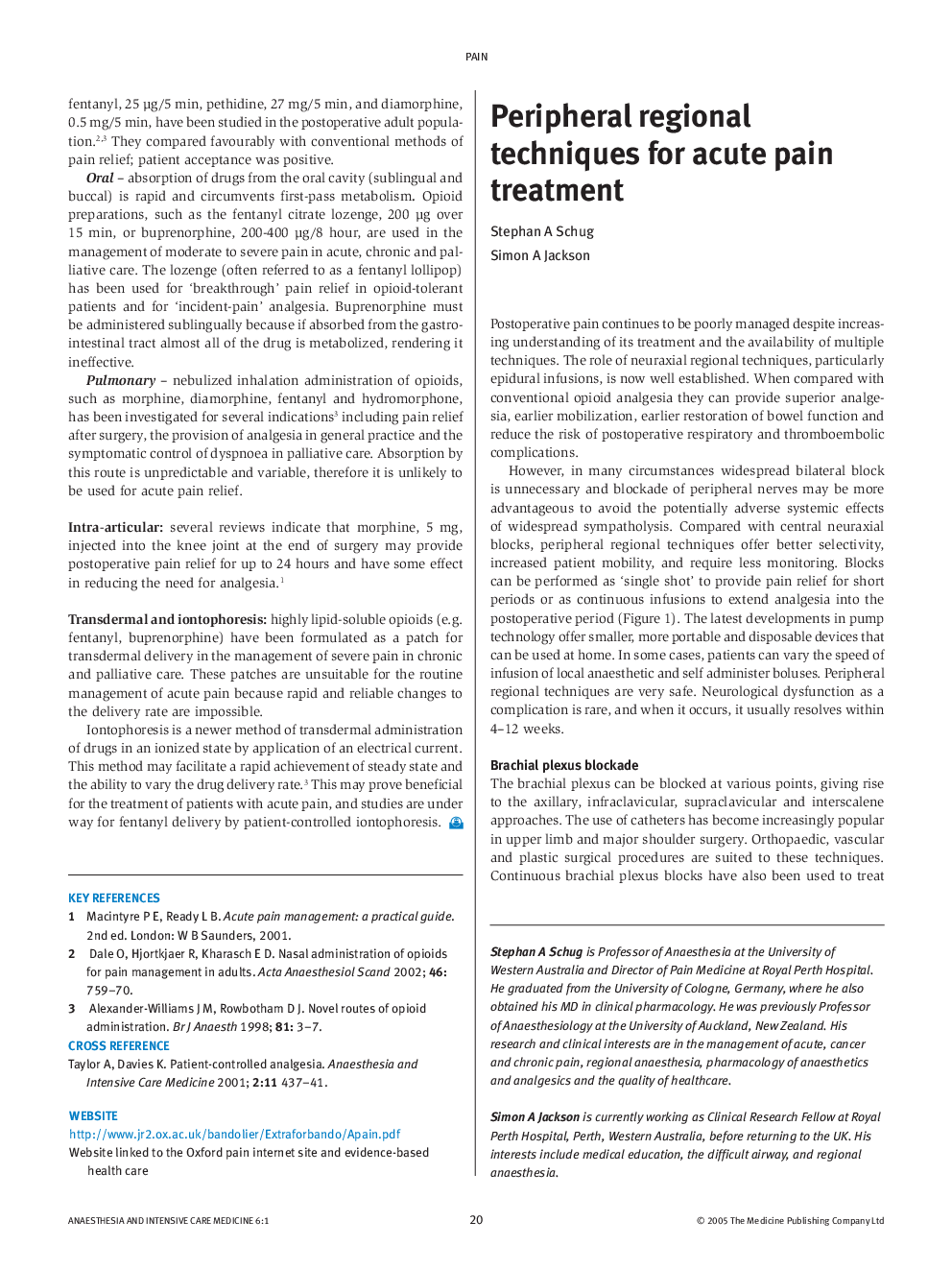 Peripheral regional techniques for acute pain treatment