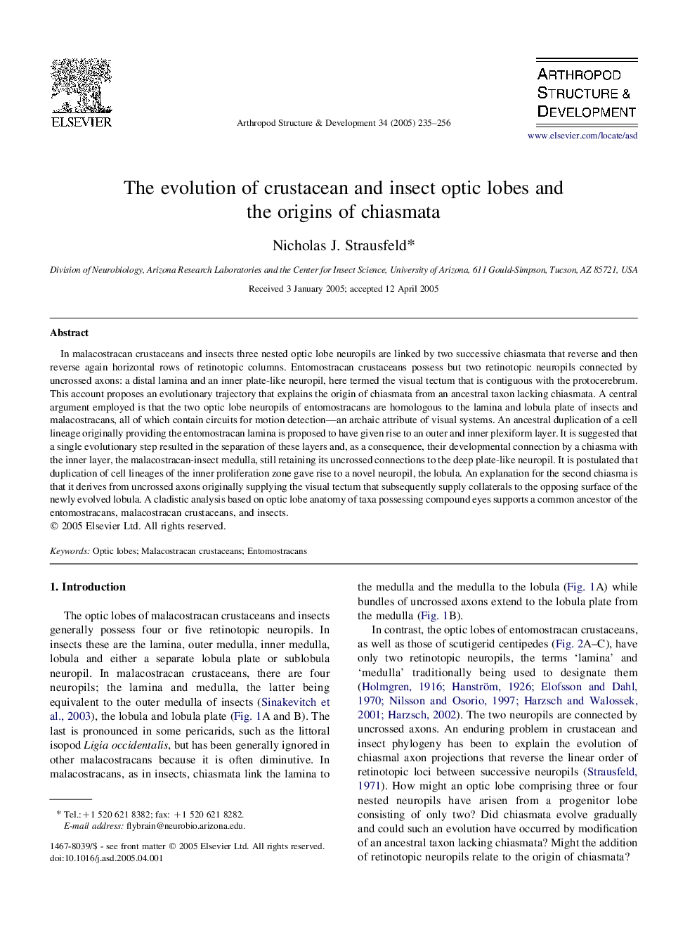 The evolution of crustacean and insect optic lobes and the origins of chiasmata