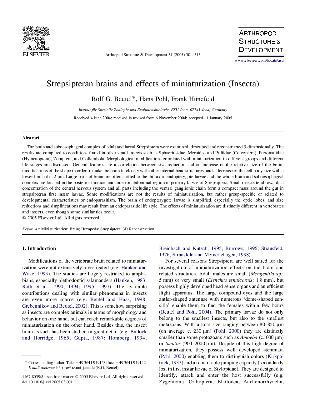 Strepsipteran brains and effects of miniaturization (Insecta)