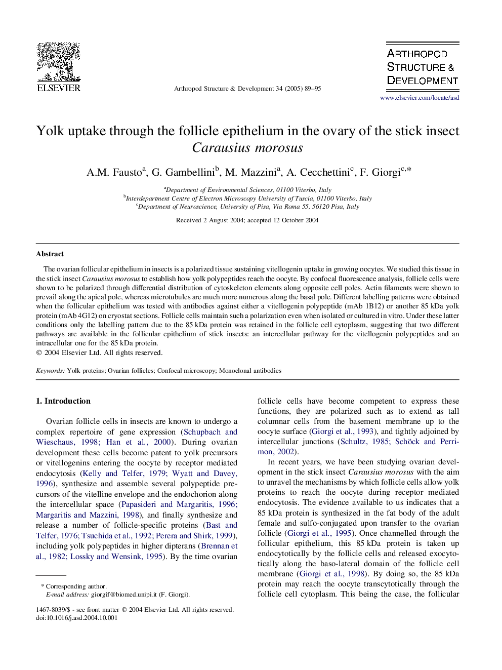 Yolk uptake through the follicle epithelium in the ovary of the stick insect Carausius morosus