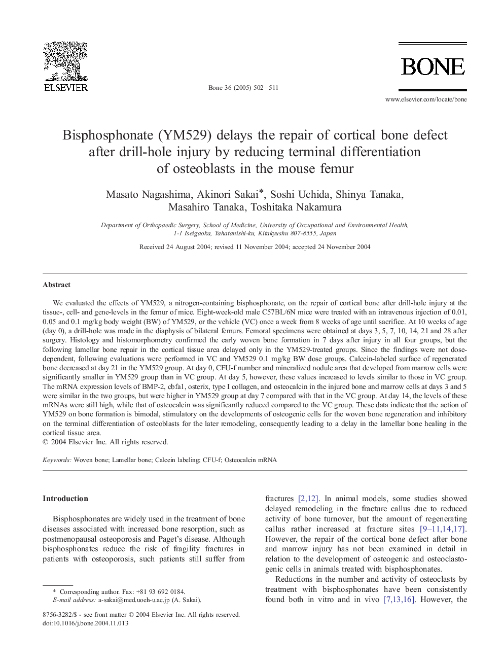 Bisphosphonate (YM529) delays the repair of cortical bone defect after drill-hole injury by reducing terminal differentiation of osteoblasts in the mouse femur