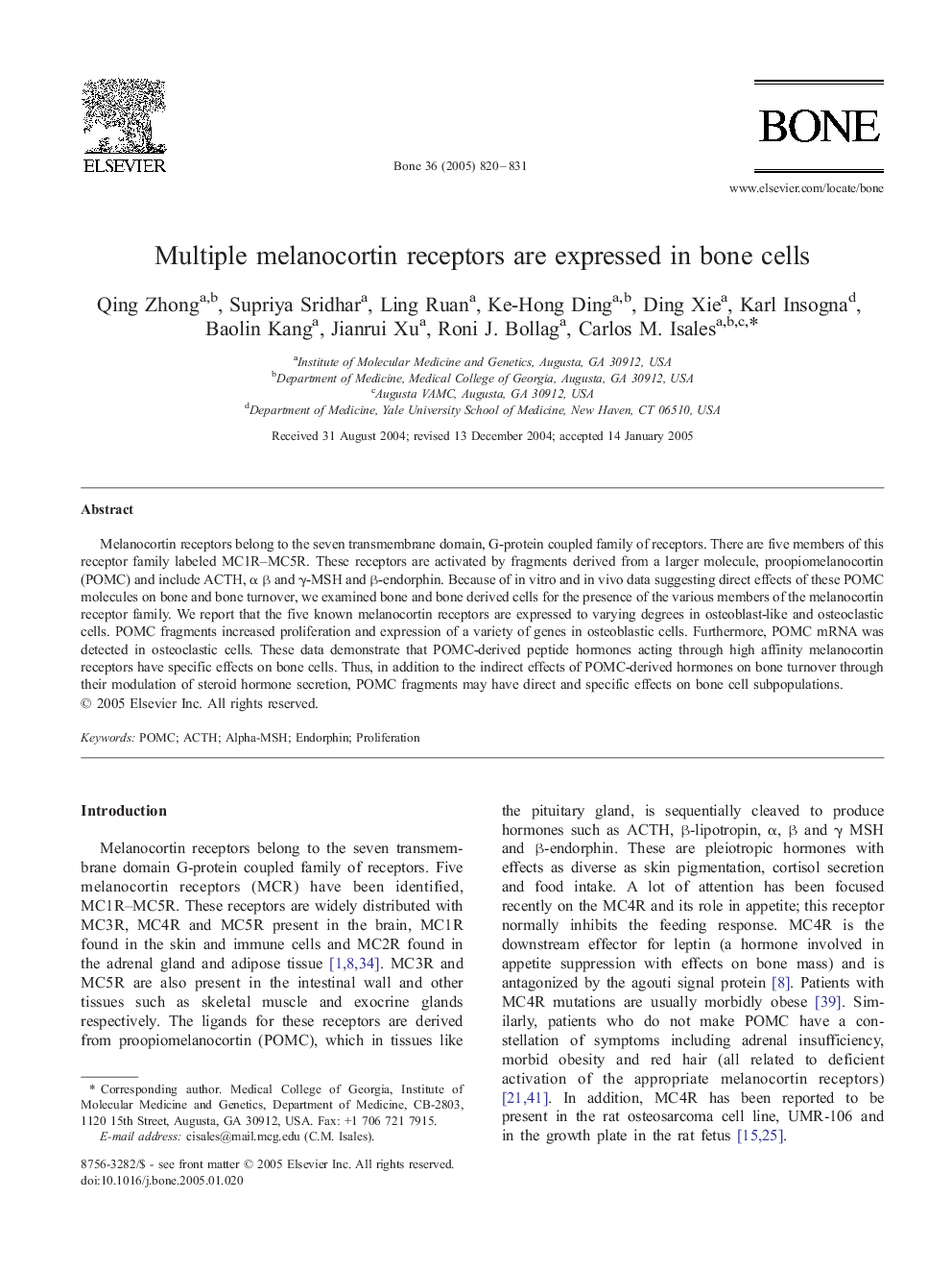 Multiple melanocortin receptors are expressed in bone cells