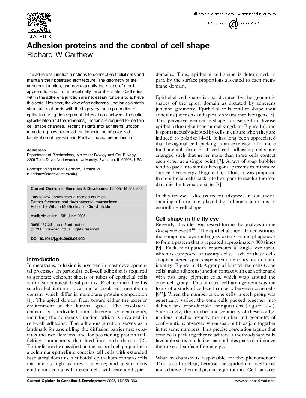 Adhesion proteins and the control of cell shape