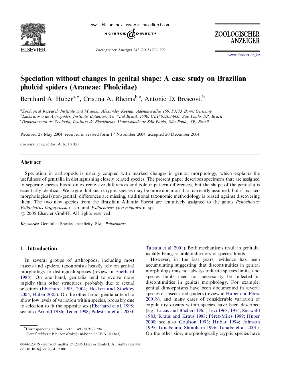 Speciation without changes in genital shape: A case study on Brazilian pholcid spiders (Araneae: Pholcidae)