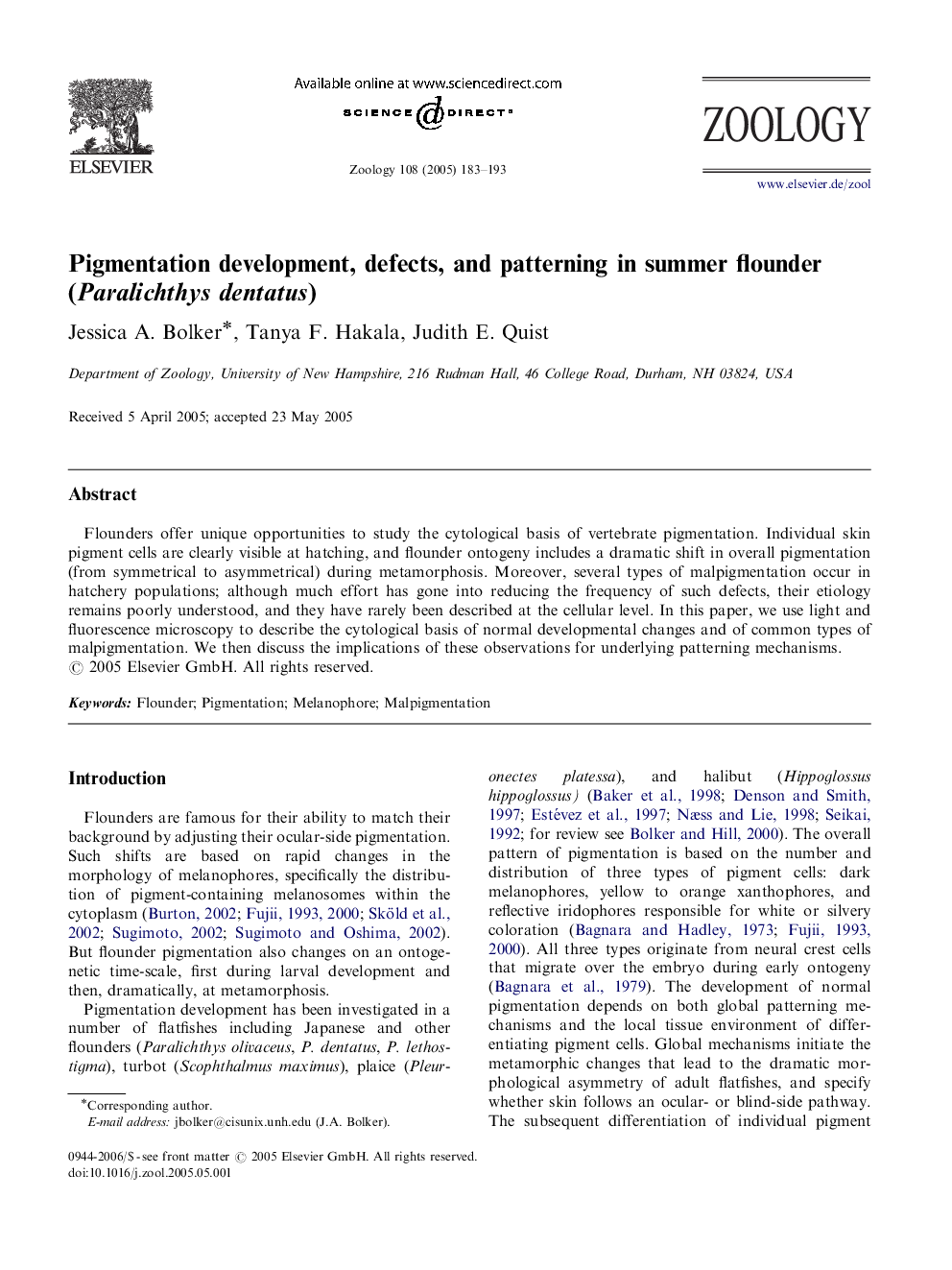 Pigmentation development, defects, and patterning in summer flounder (Paralichthys dentatus)