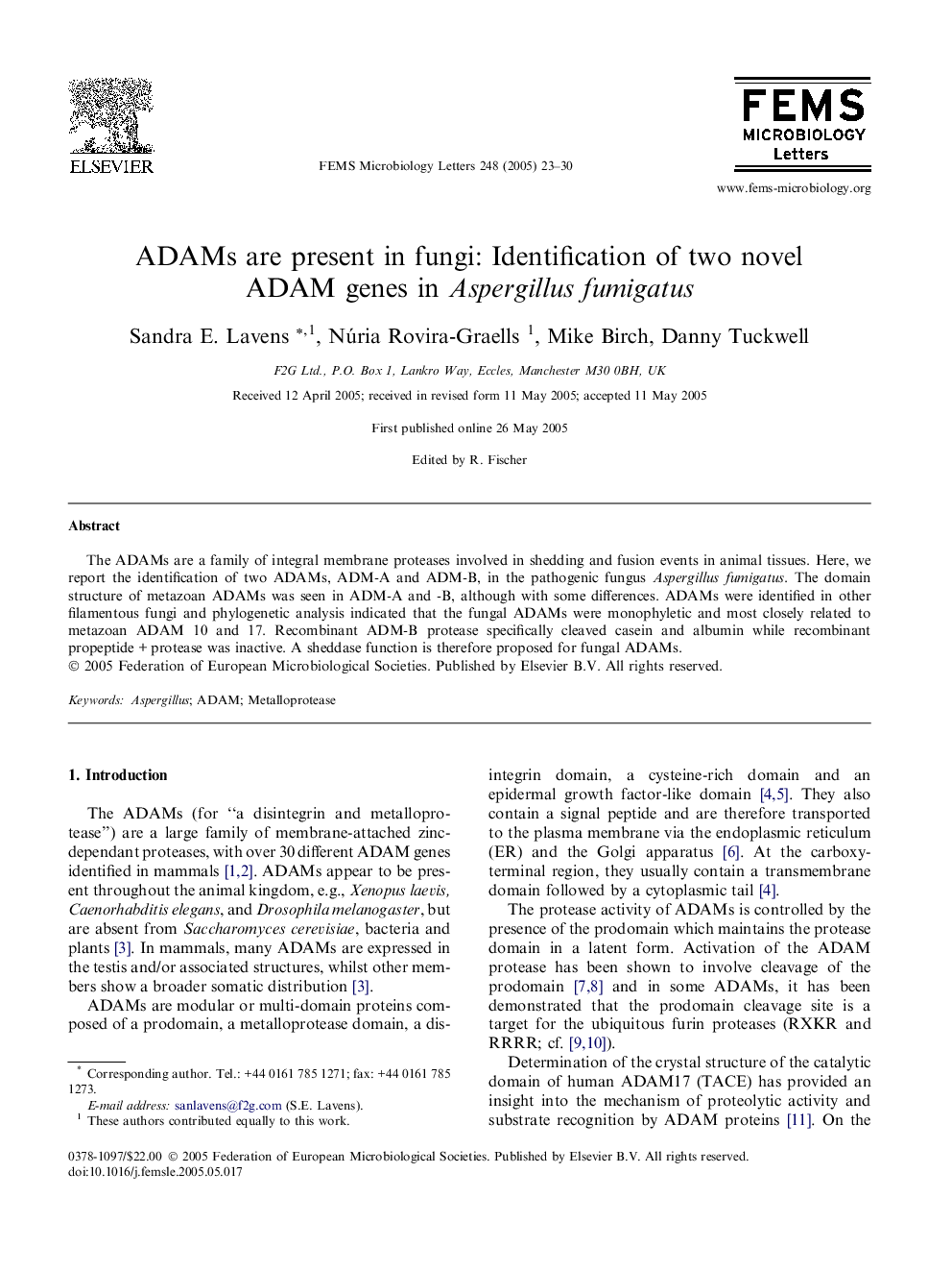 ADAMs are present in fungi: Identification of two novel ADAM genes in Aspergillus fumigatus