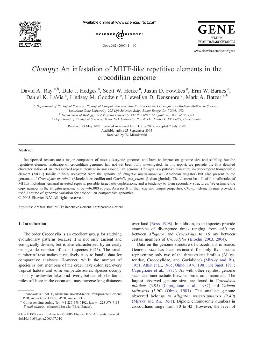 Chompy: An infestation of MITE-like repetitive elements in the crocodilian genome