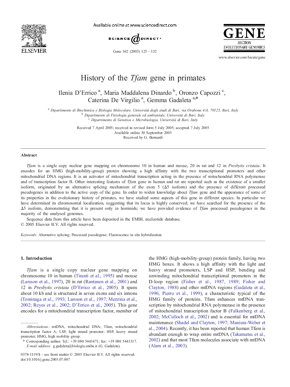 History of the Tfam gene in primates