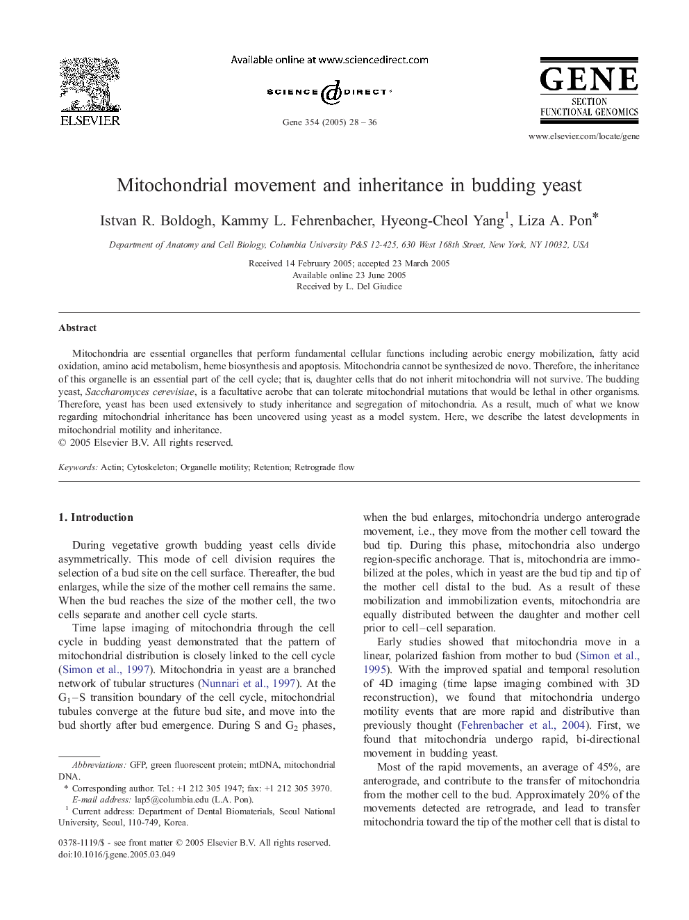 Mitochondrial movement and inheritance in budding yeast