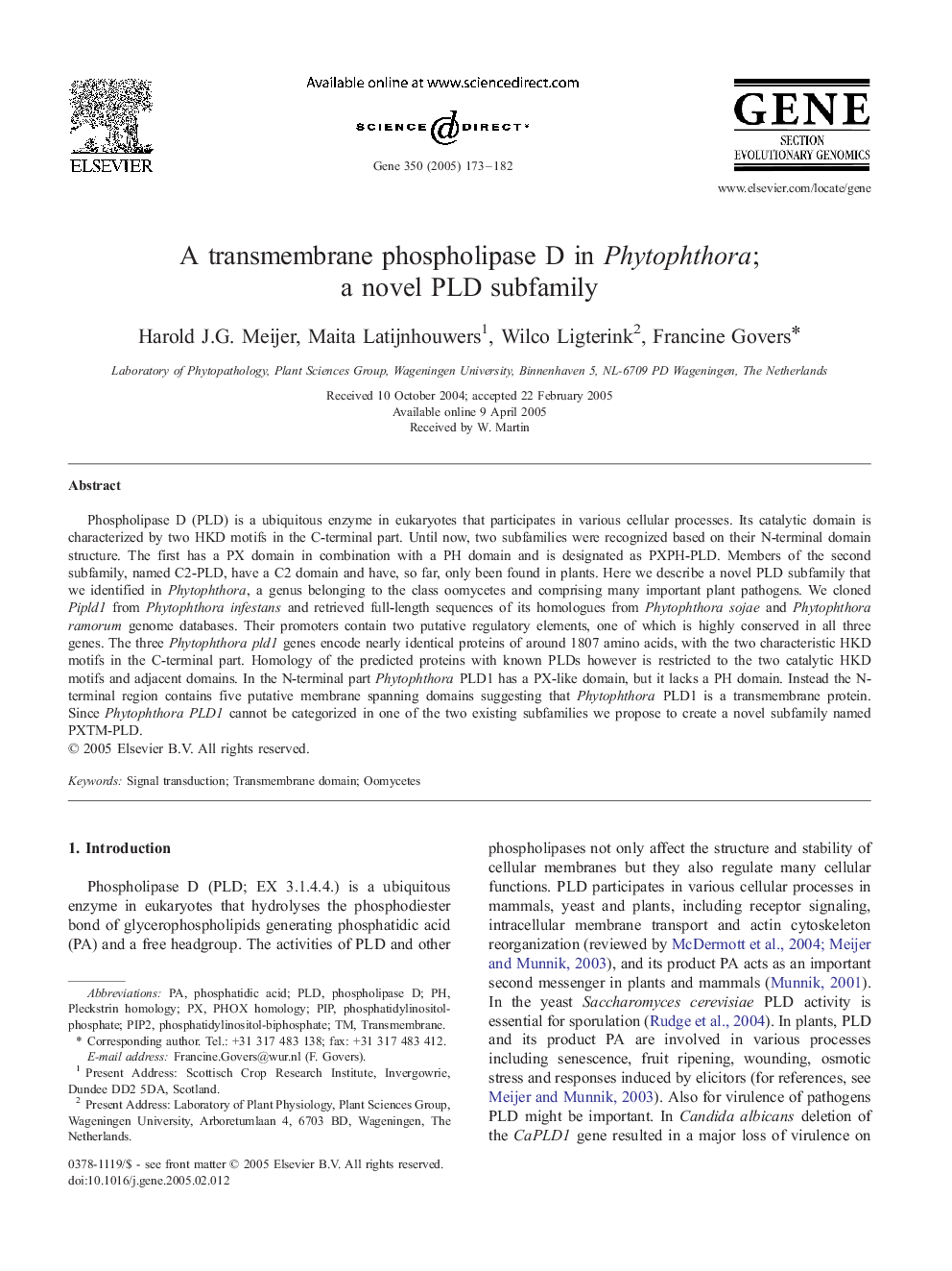 A transmembrane phospholipase D in Phytophthora; a novel PLD subfamily