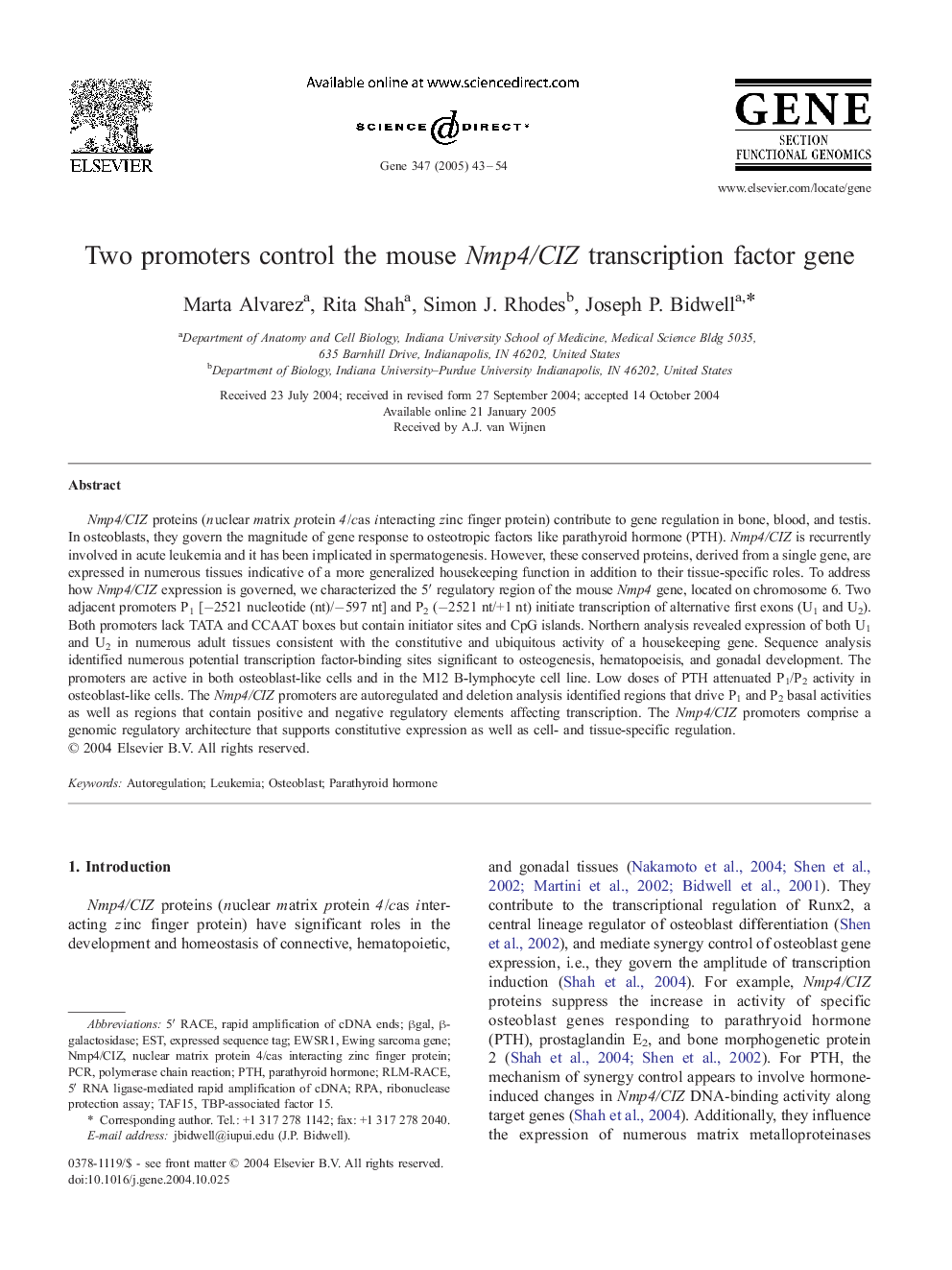 Two promoters control the mouse Nmp4/CIZ transcription factor gene