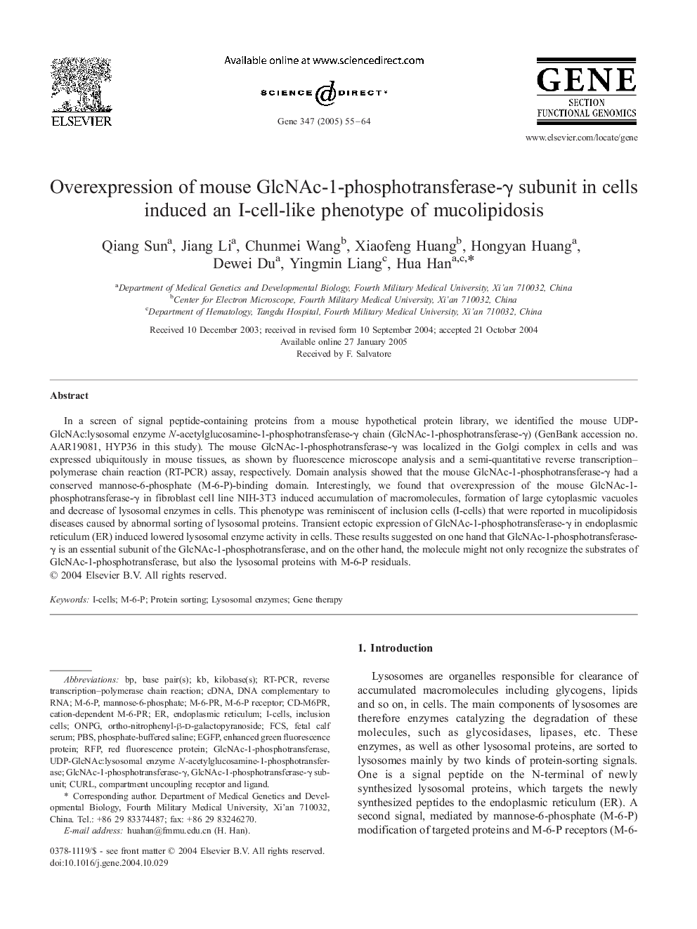 Overexpression of mouse GlcNAc-1-phosphotransferase-Î³ subunit in cells induced an I-cell-like phenotype of mucolipidosis