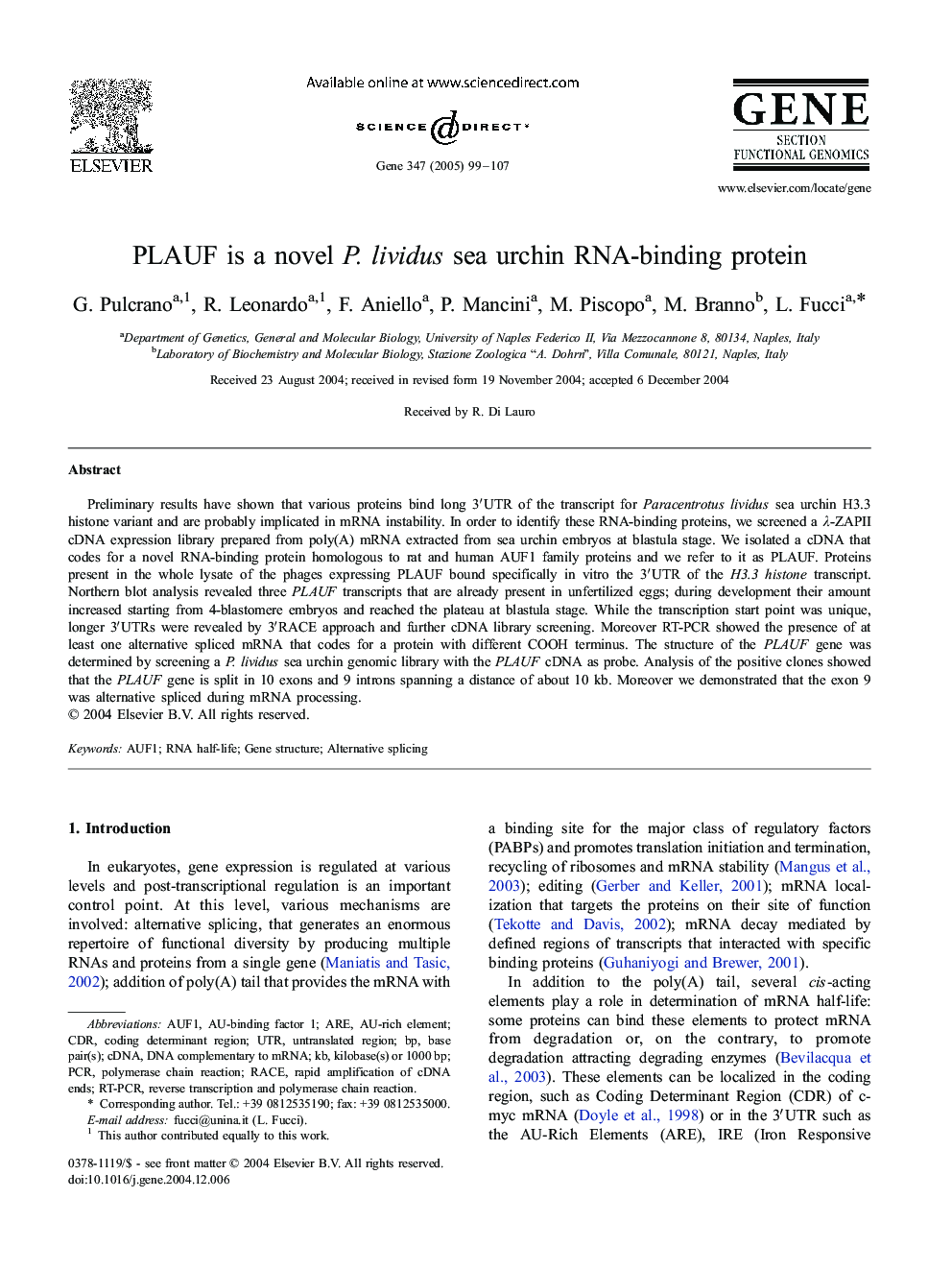 PLAUF is a novel P. lividus sea urchin RNA-binding protein