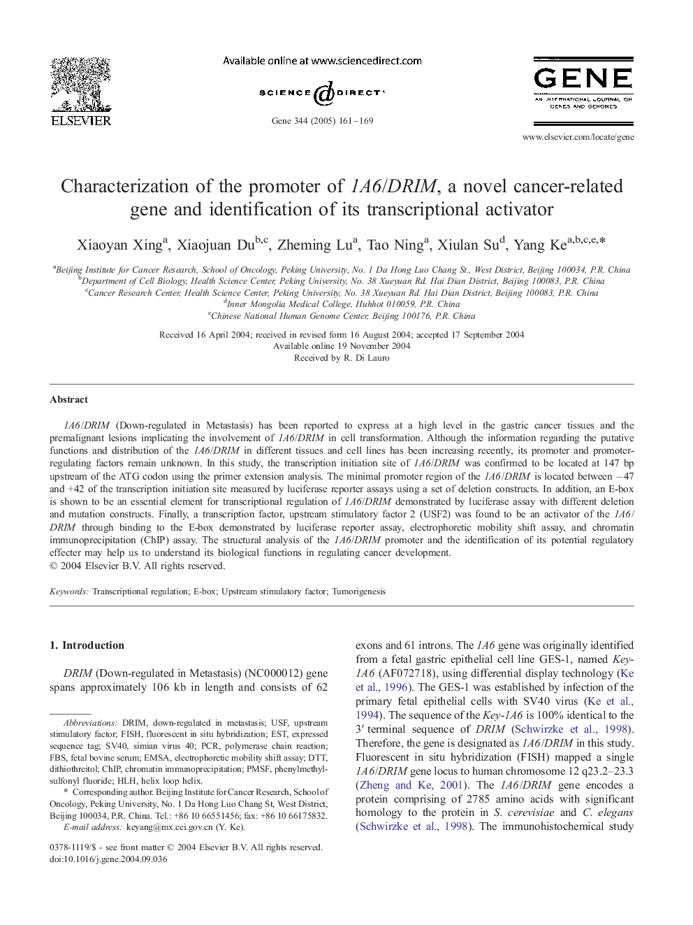 Characterization of the promoter of 1A6/DRIM, a novel cancer-related gene and identification of its transcriptional activator