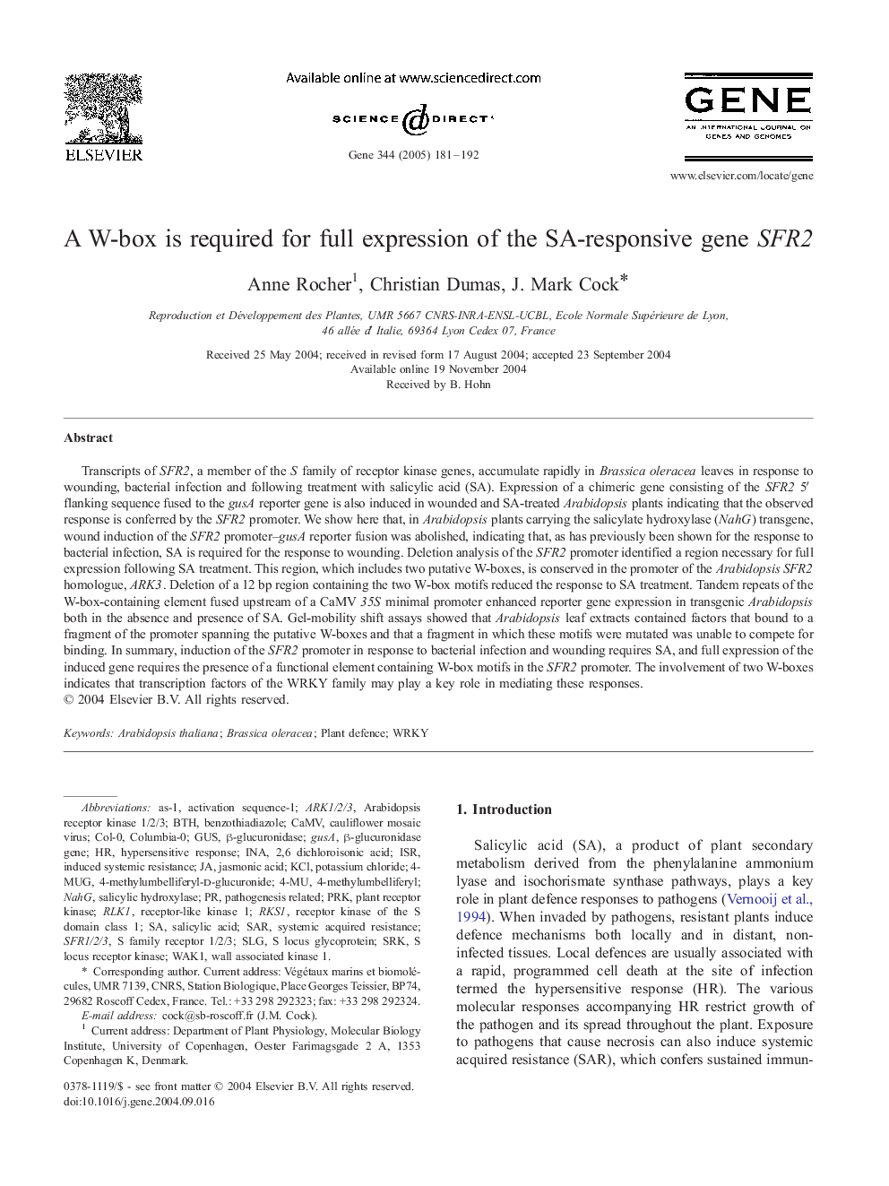 A W-box is required for full expression of the SA-responsive gene SFR2