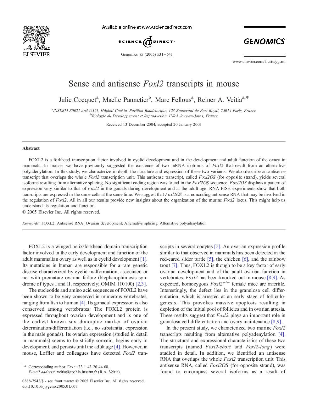 Sense and antisense Foxl2 transcripts in mouse