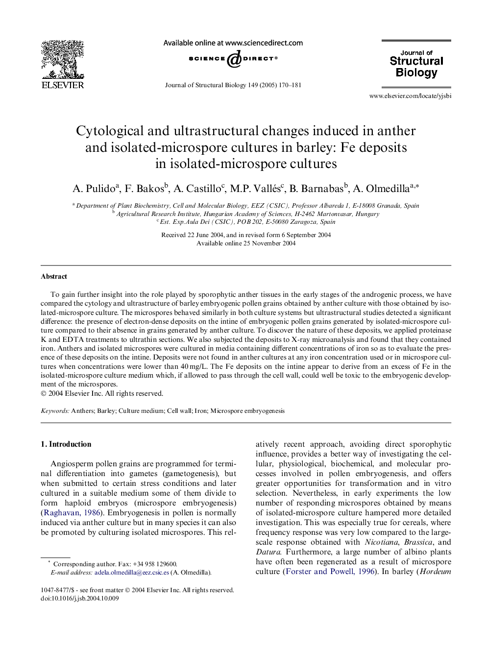 Cytological and ultrastructural changes induced in anther and isolated-microspore cultures in barley: Fe deposits in isolated-microspore cultures