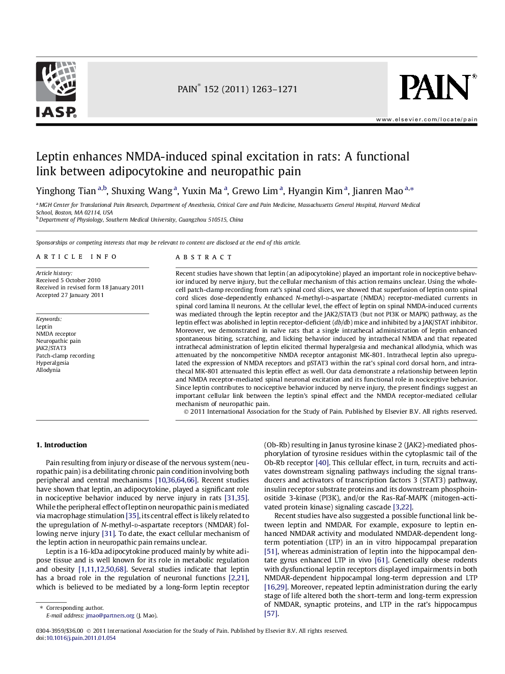 Leptin enhances NMDA-induced spinal excitation in rats: A functional link between adipocytokine and neuropathic pain