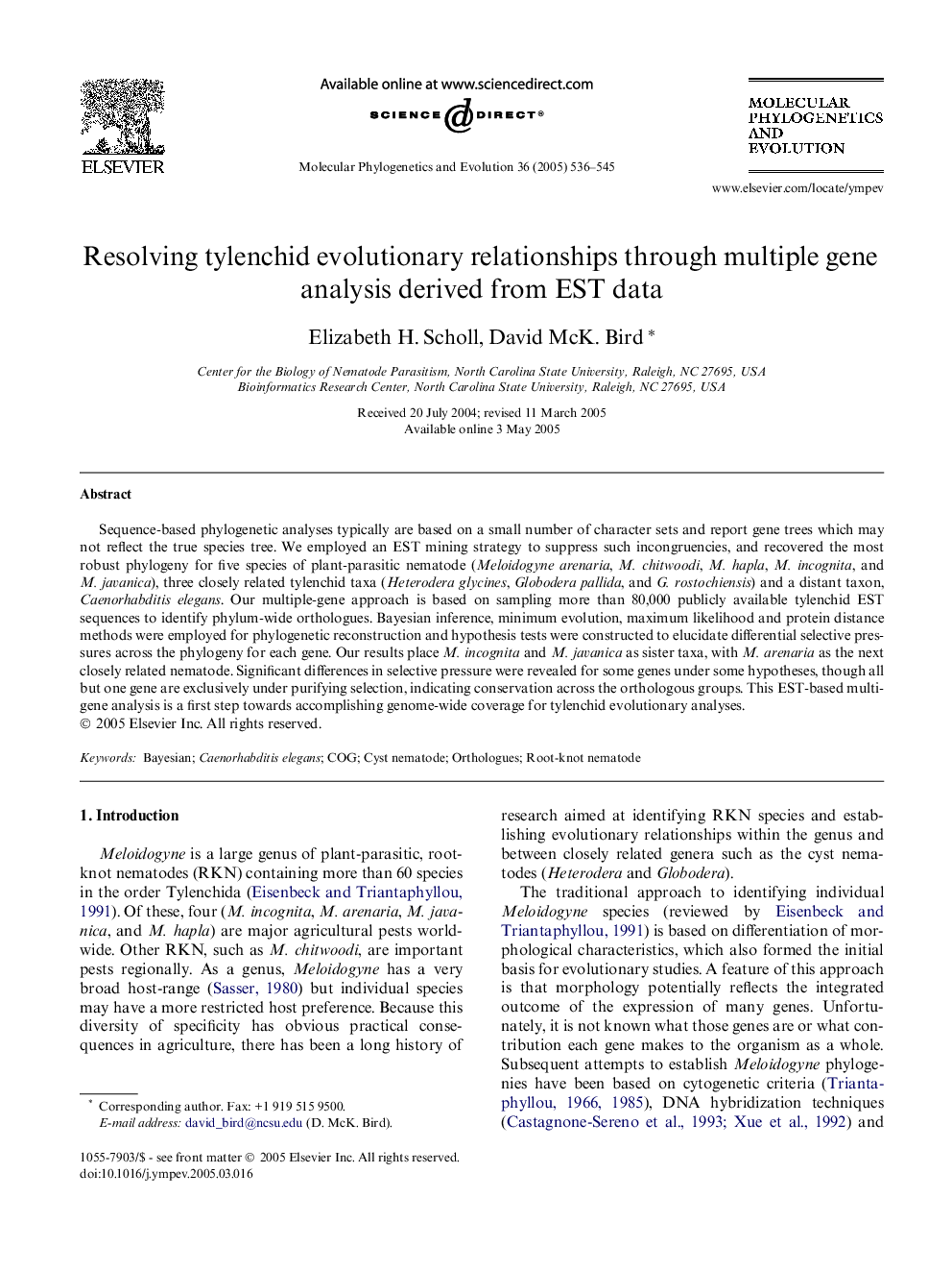 Resolving tylenchid evolutionary relationships through multiple gene analysis derived from EST data