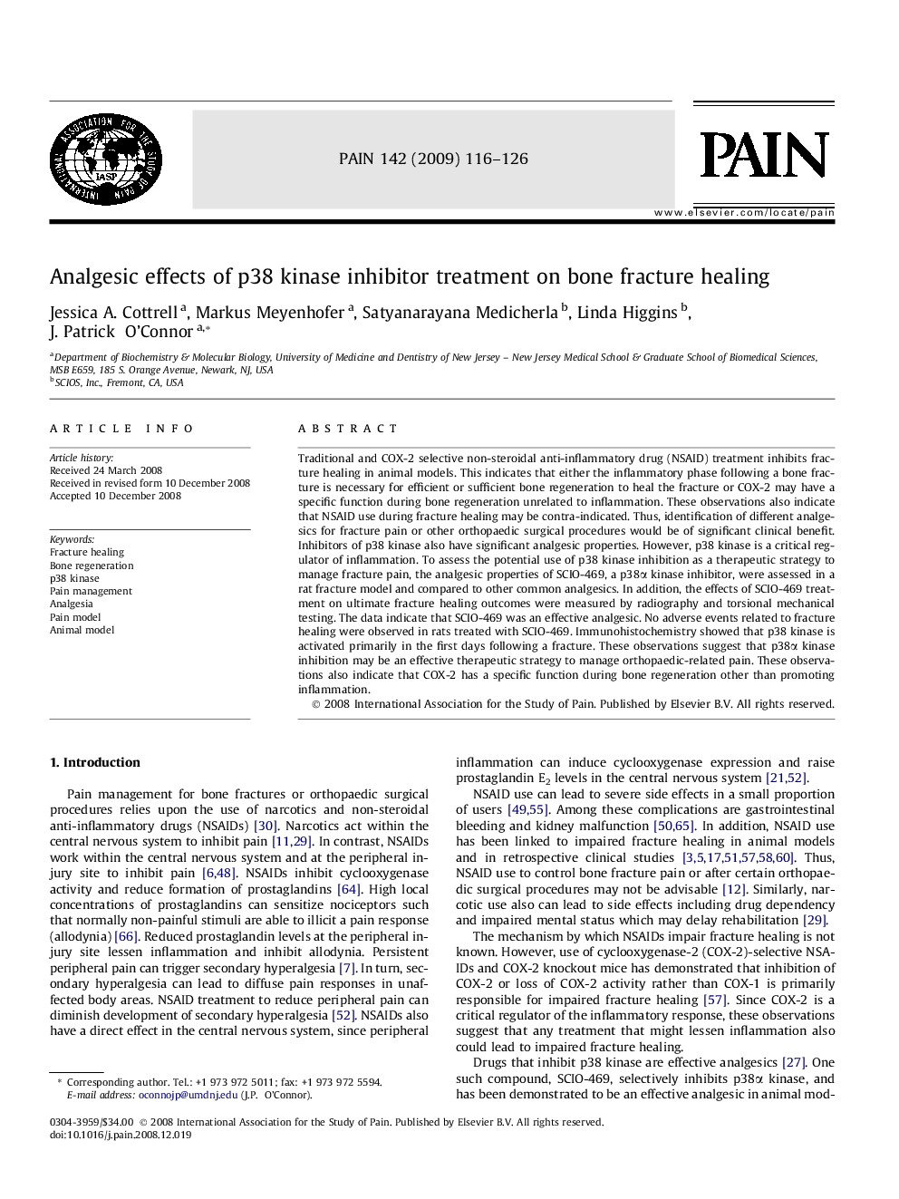 Analgesic effects of p38 kinase inhibitor treatment on bone fracture healing