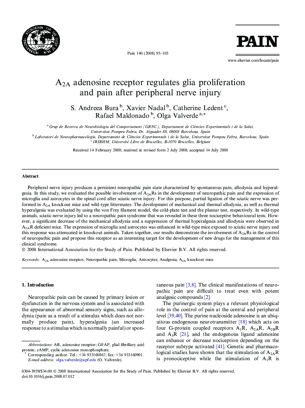 A2A adenosine receptor regulates glia proliferation and pain after peripheral nerve injury