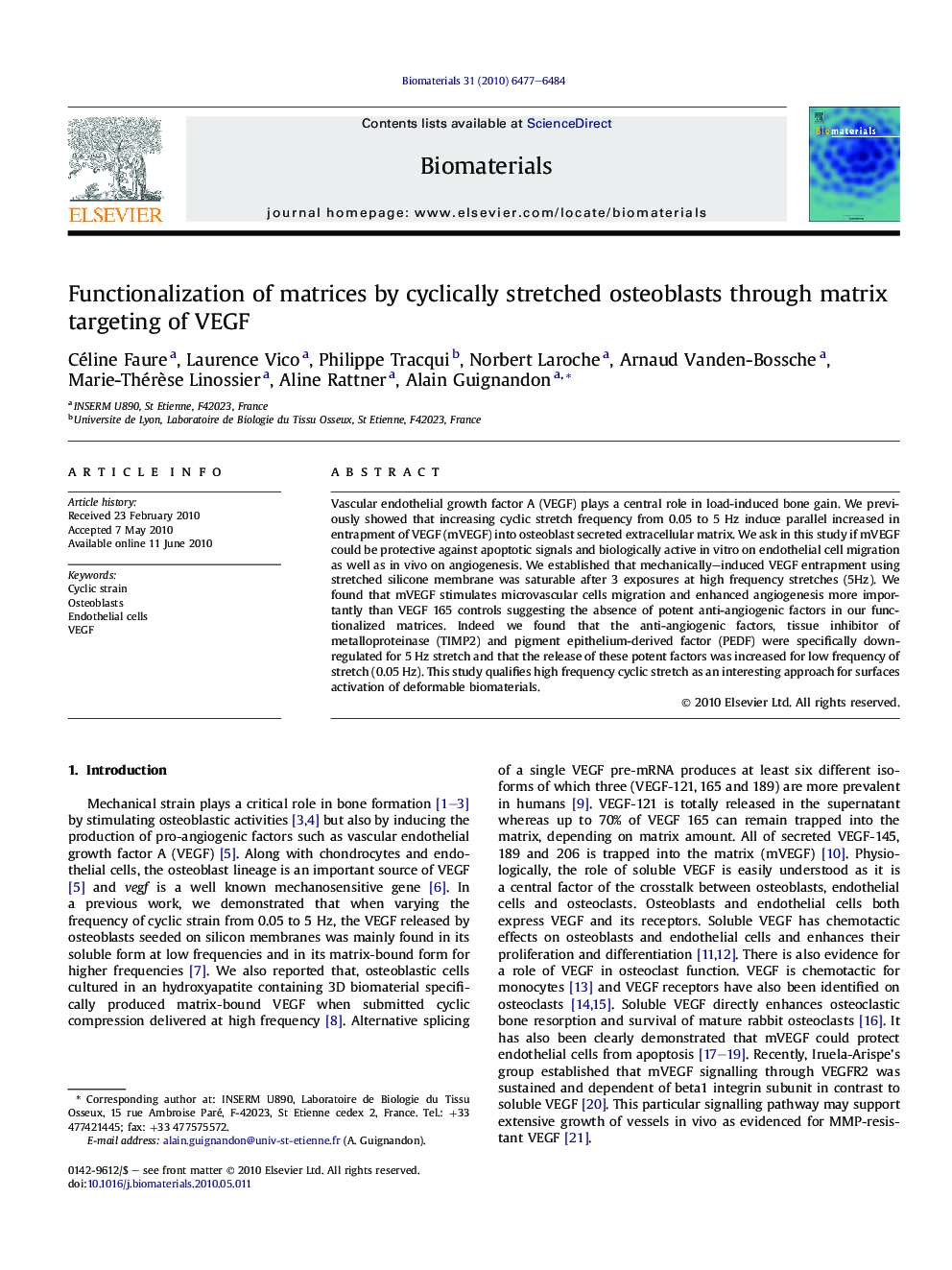 Functionalization of matrices by cyclically stretched osteoblasts through matrix targeting of VEGF