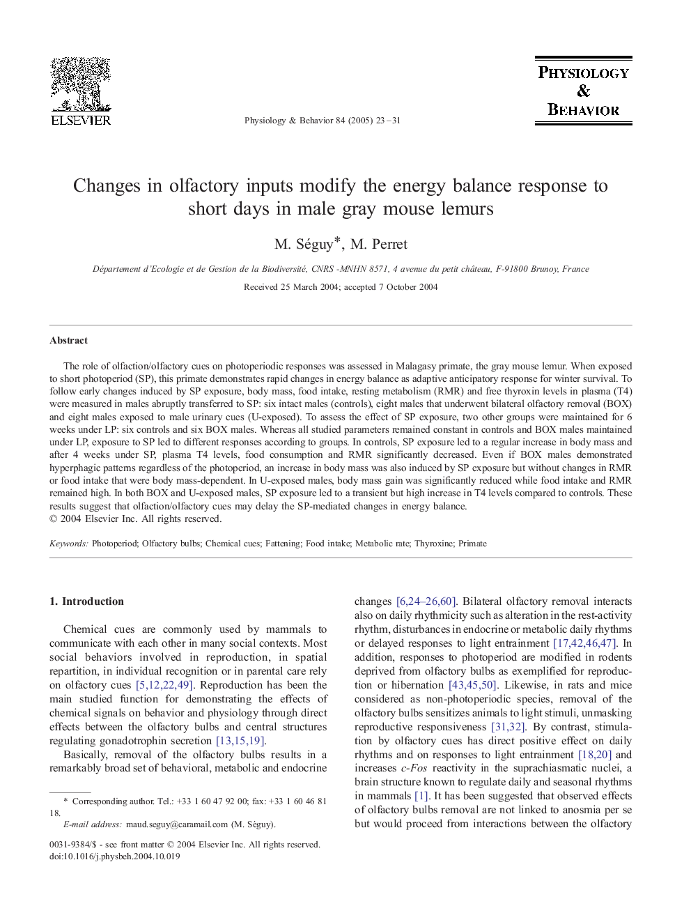 Changes in olfactory inputs modify the energy balance response to short days in male gray mouse lemurs