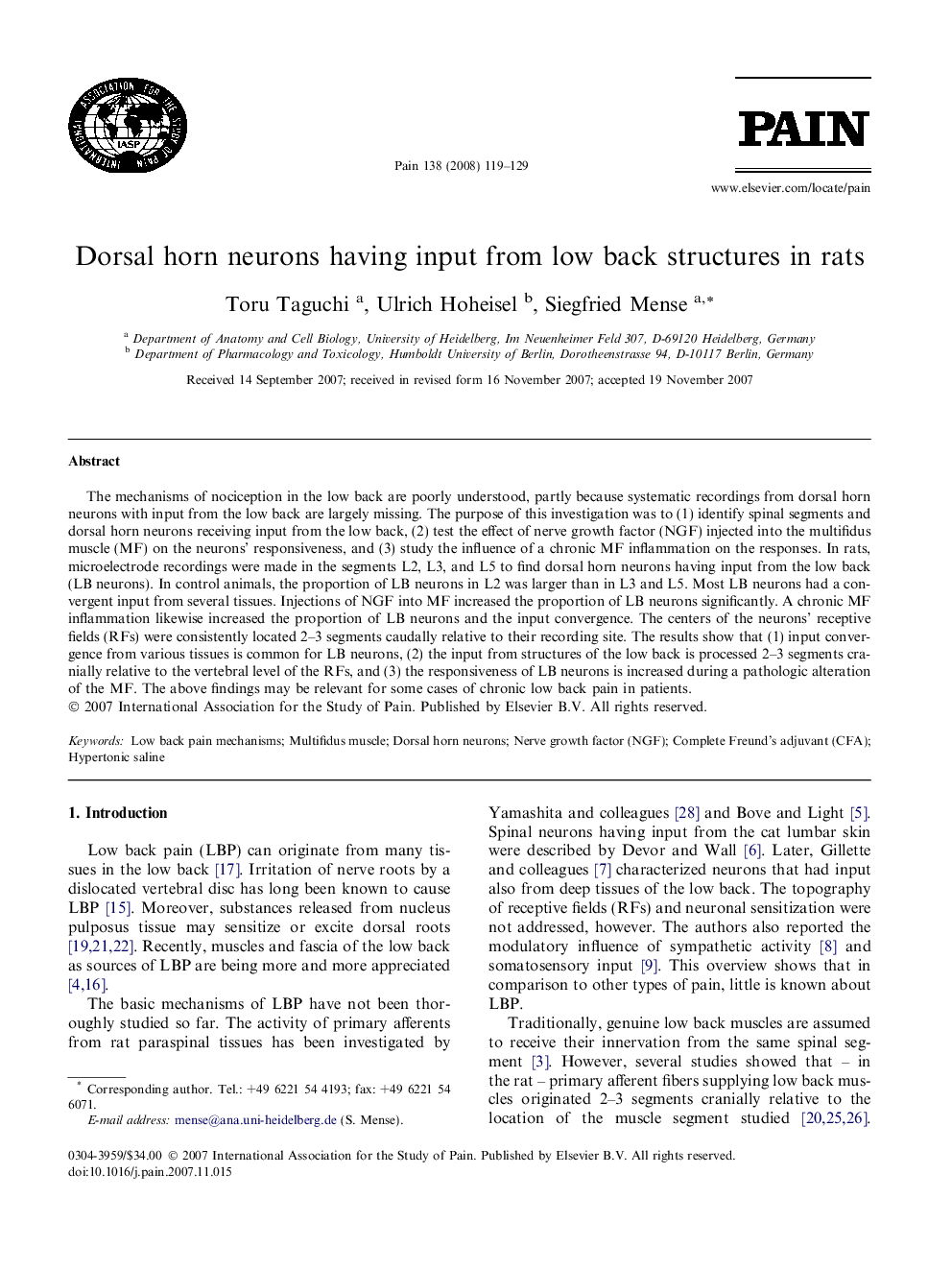 Dorsal horn neurons having input from low back structures in rats