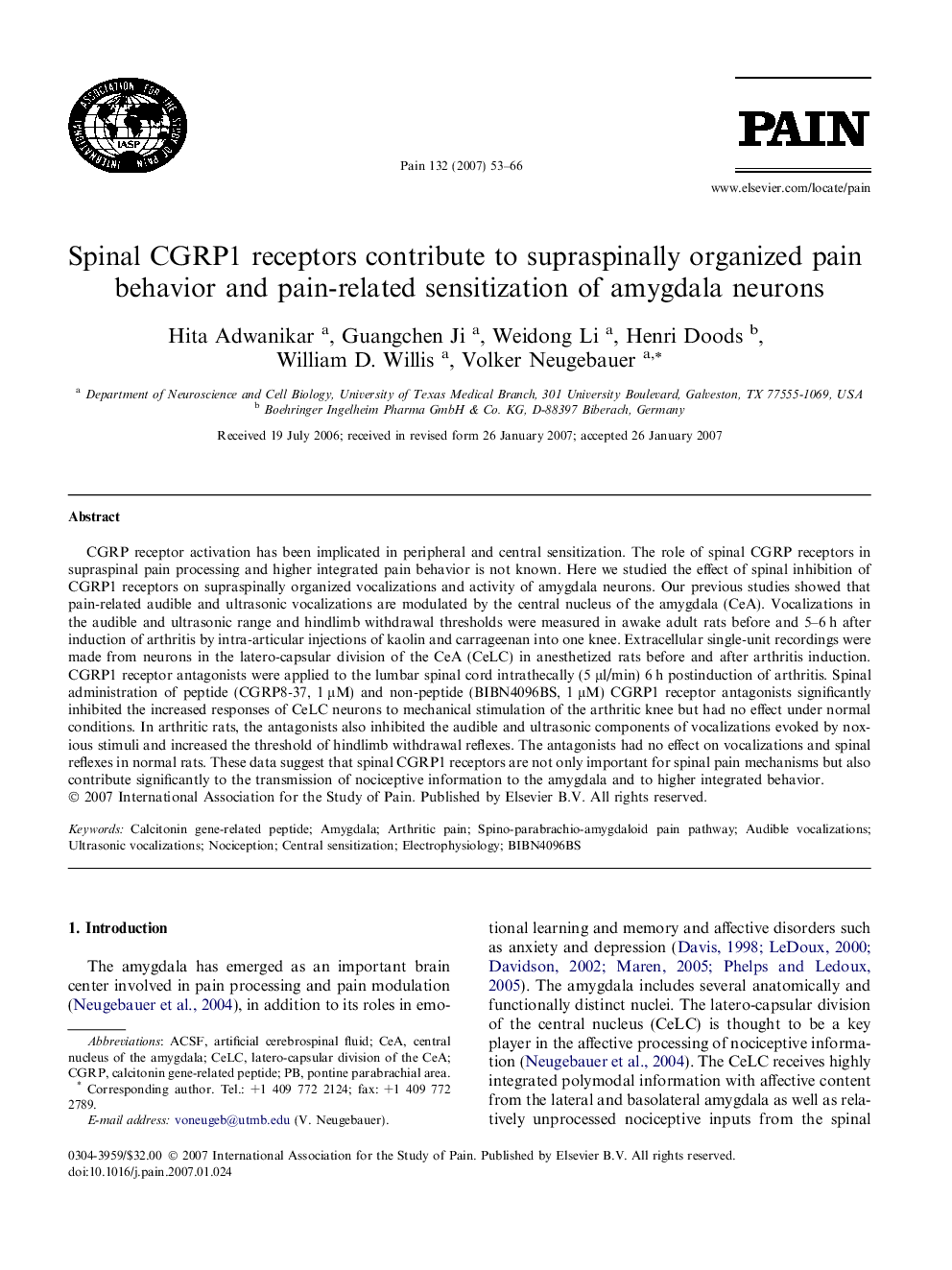 Spinal CGRP1 receptors contribute to supraspinally organized pain behavior and pain-related sensitization of amygdala neurons