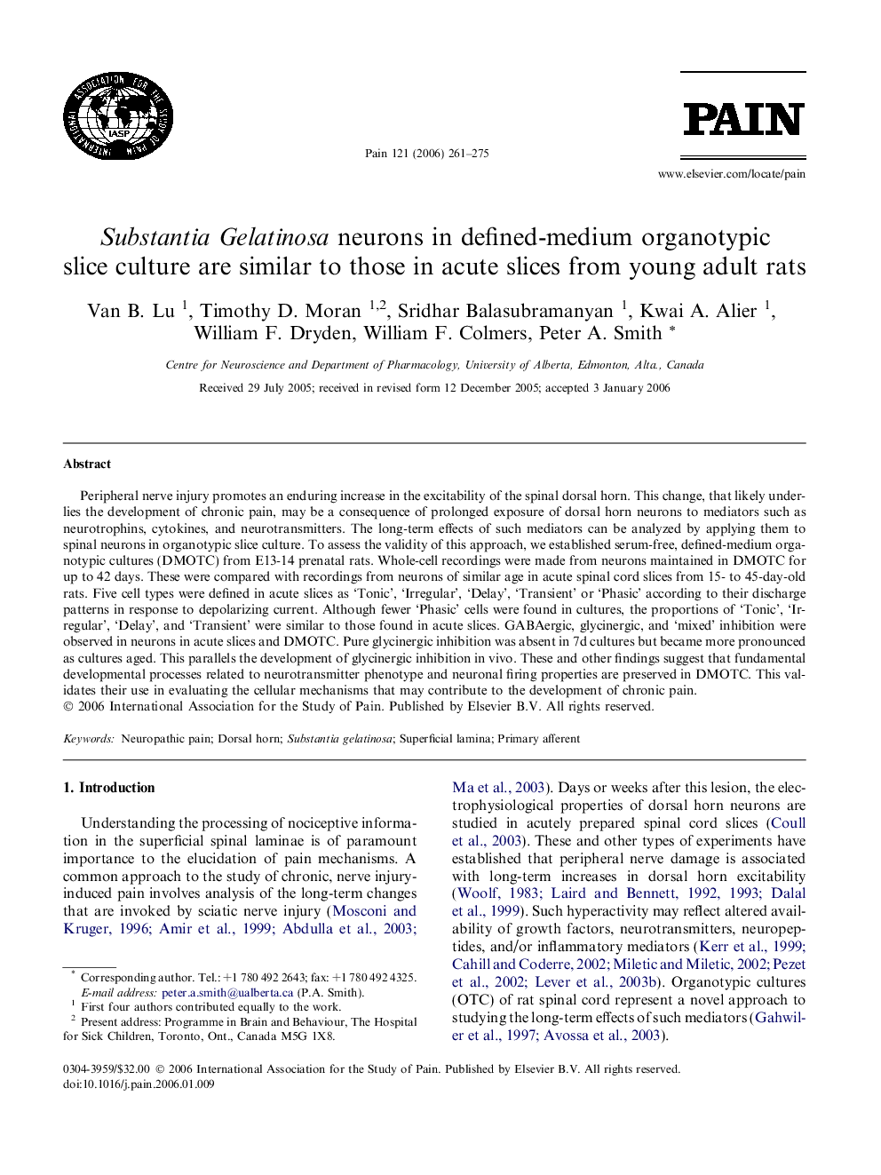 Substantia Gelatinosa neurons in defined-medium organotypic slice culture are similar to those in acute slices from young adult rats