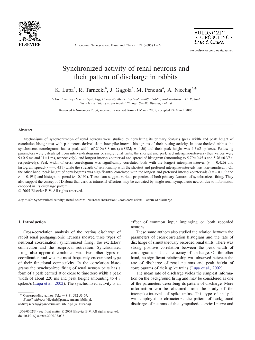 Synchronized activity of renal neurons and their pattern of discharge in rabbits