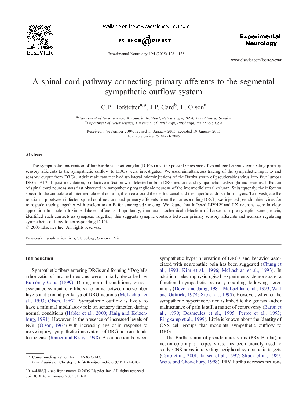 A spinal cord pathway connecting primary afferents to the segmental sympathetic outflow system