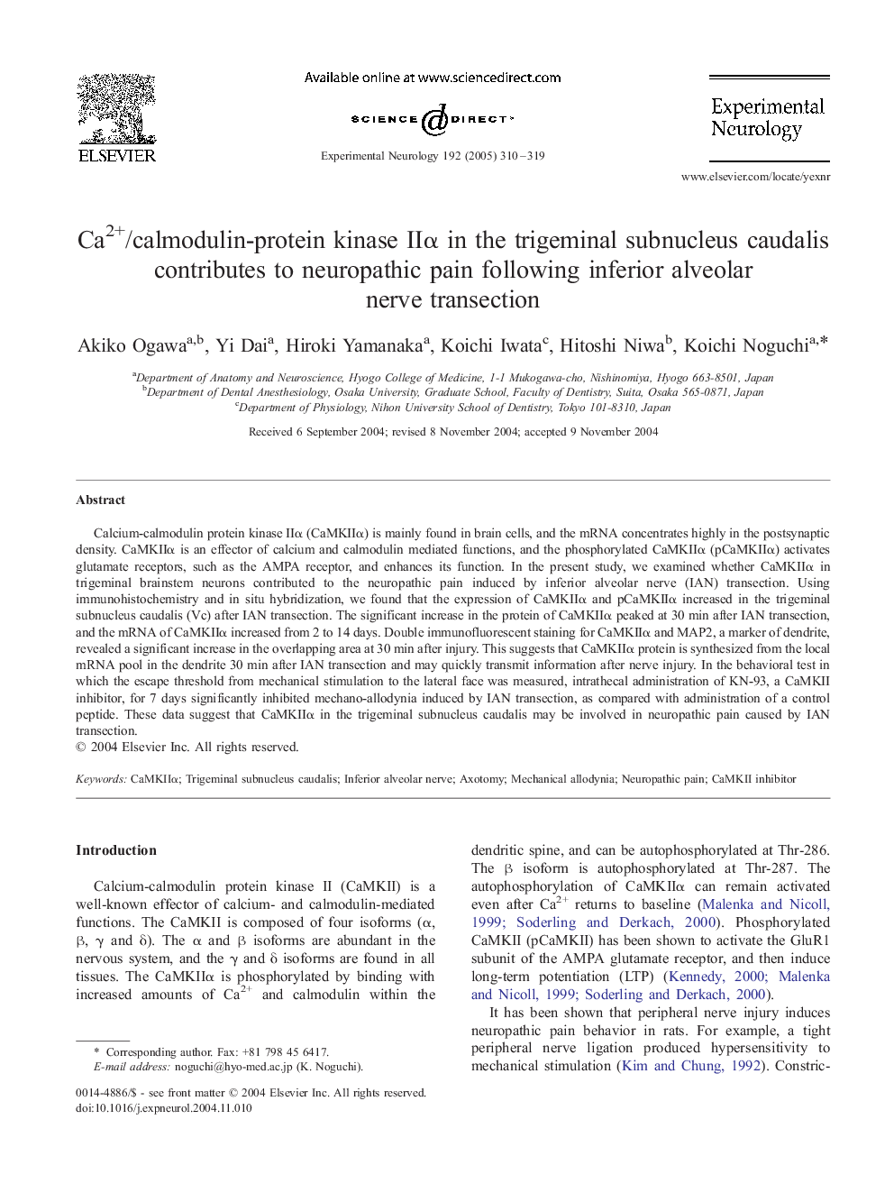 Ca2+/calmodulin-protein kinase IIÎ± in the trigeminal subnucleus caudalis contributes to neuropathic pain following inferior alveolar nerve transection