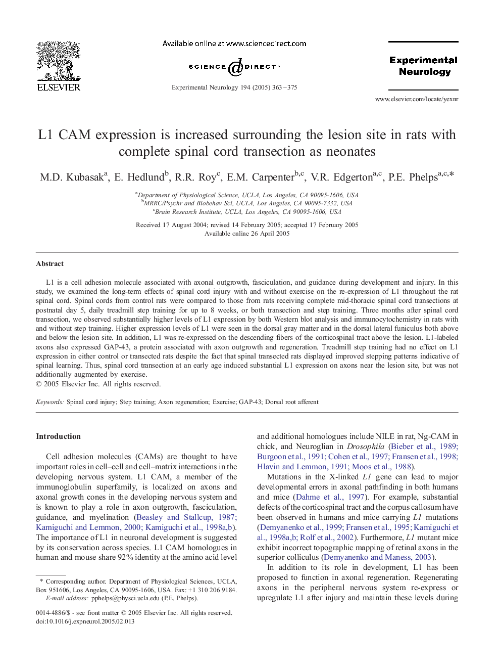 L1 CAM expression is increased surrounding the lesion site in rats with complete spinal cord transection as neonates