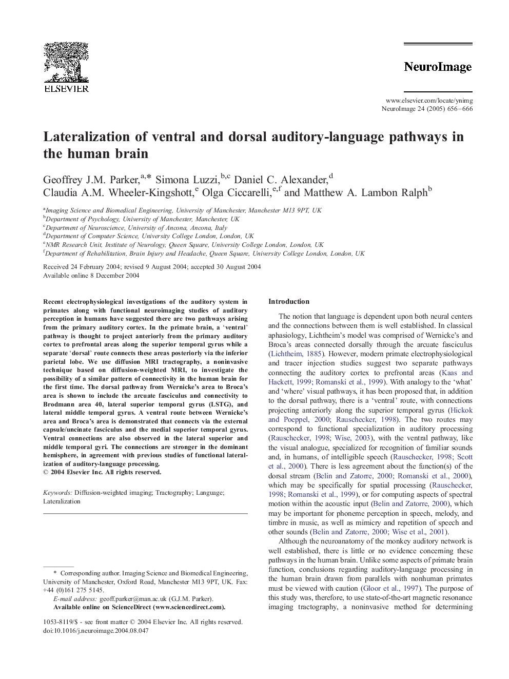 Lateralization of ventral and dorsal auditory-language pathways in the human brain