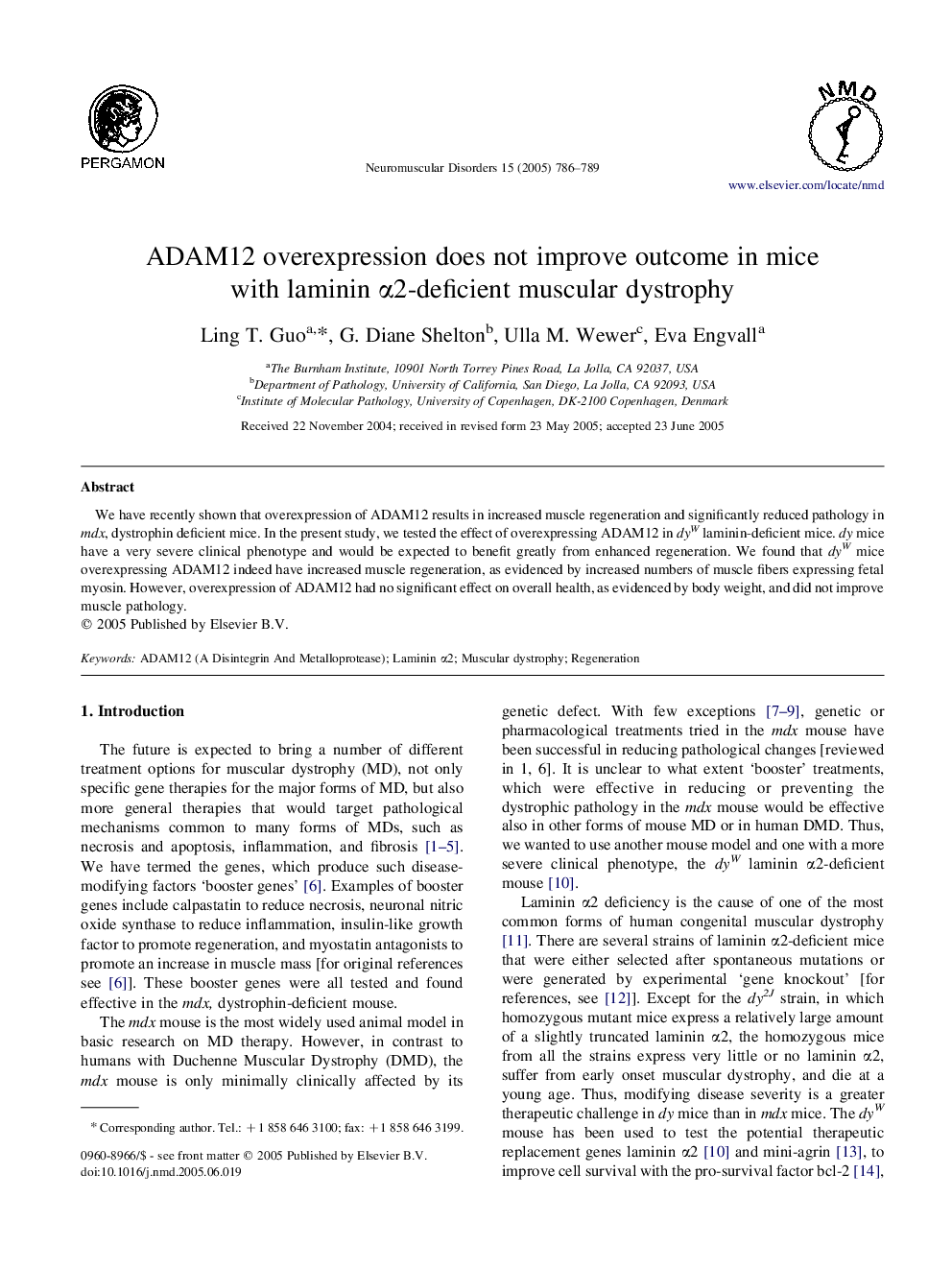 ADAM12 overexpression does not improve outcome in mice with laminin Î±2-deficient muscular dystrophy