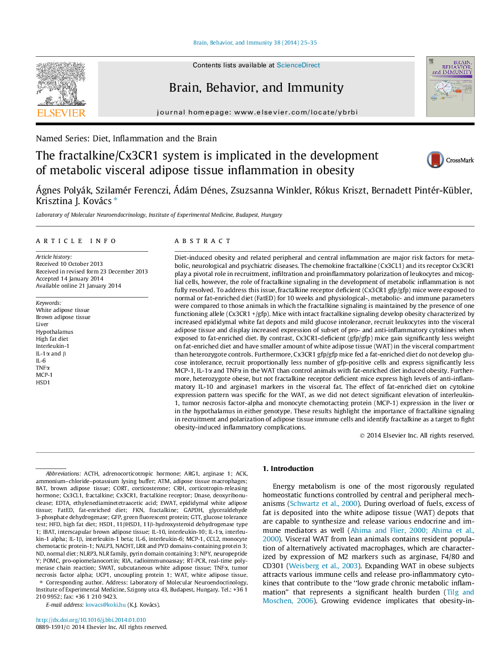 The fractalkine/Cx3CR1 system is implicated in the development of metabolic visceral adipose tissue inflammation in obesity