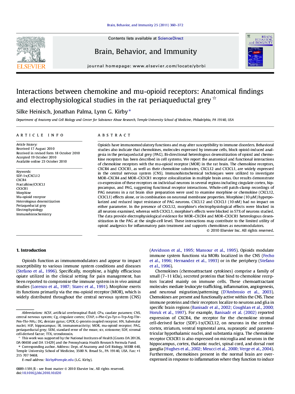 Interactions between chemokine and mu-opioid receptors: Anatomical findings and electrophysiological studies in the rat periaqueductal grey 