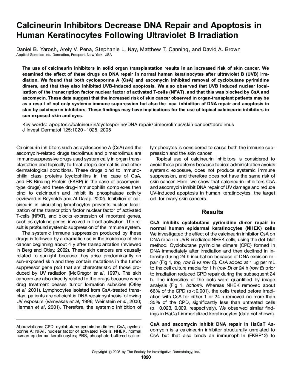 Calcineurin Inhibitors Decrease DNA Repair and Apoptosis in Human Keratinocytes Following Ultraviolet B Irradiation