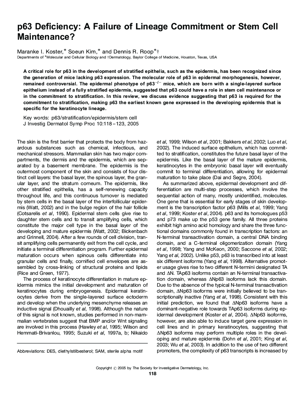 p63 Deficiency: A Failure of Lineage Commitment or Stem Cell Maintenance?