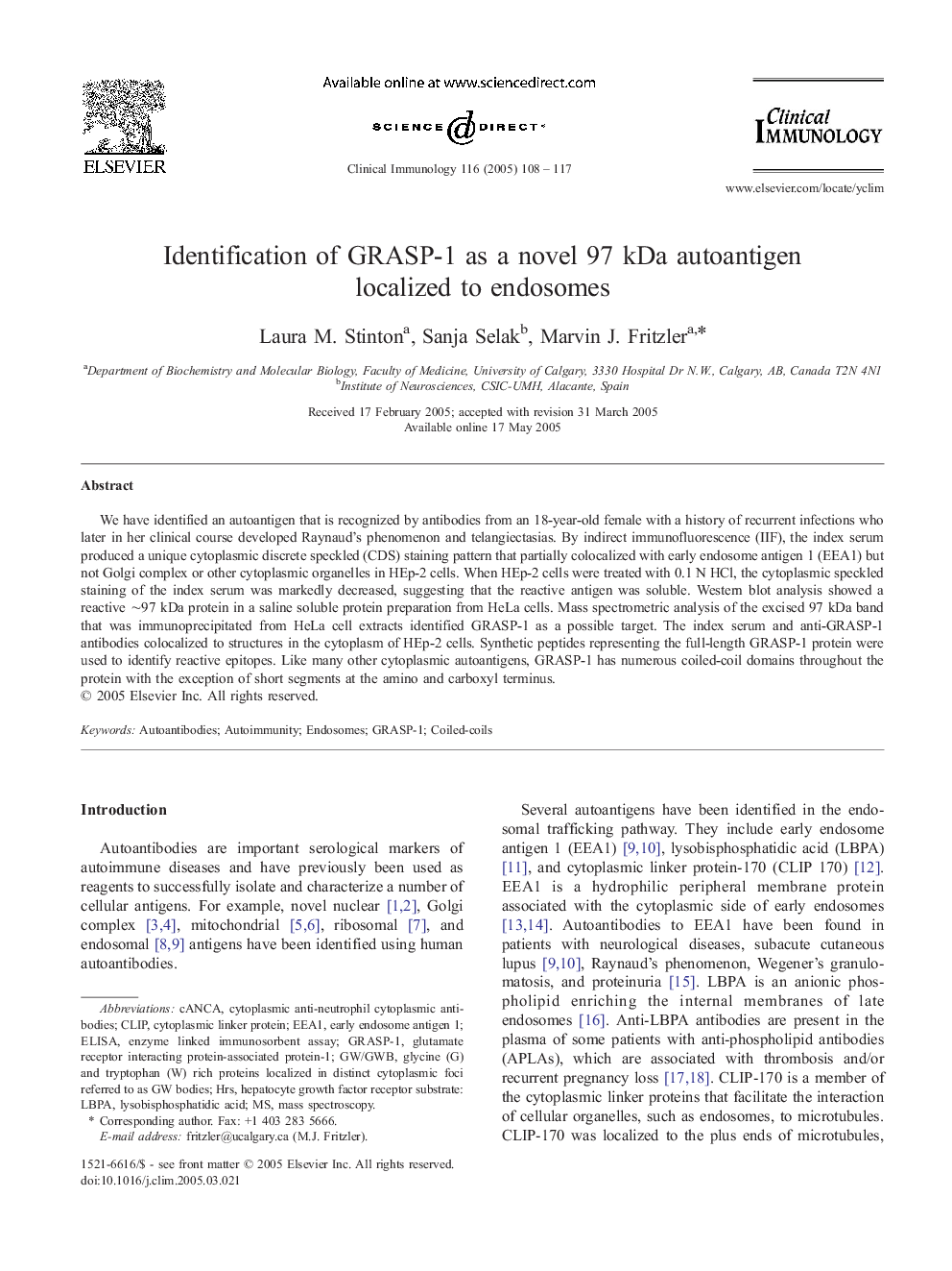 Identification of GRASP-1 as a novel 97 kDa autoantigen localized to endosomes
