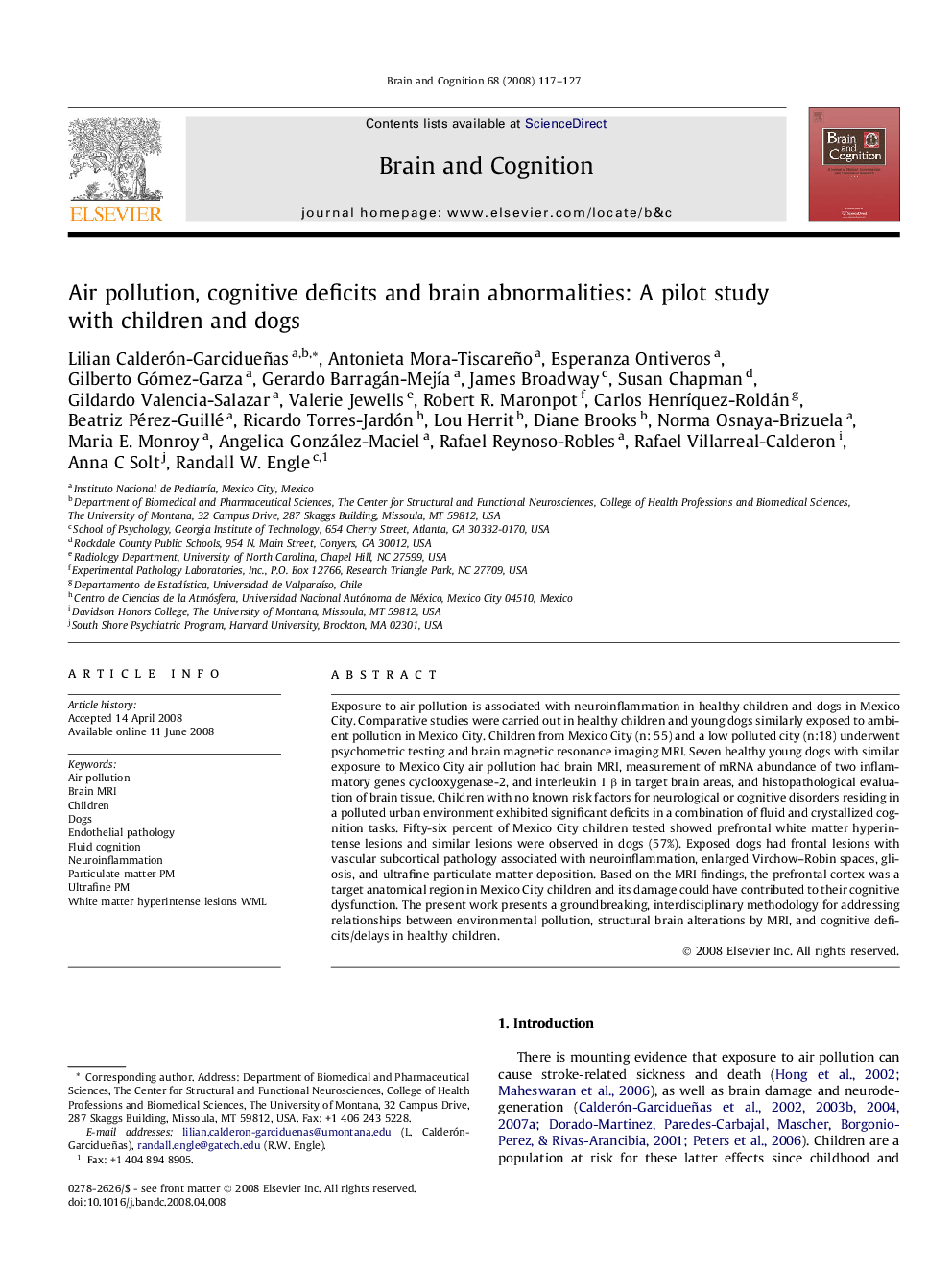 Air pollution, cognitive deficits and brain abnormalities: A pilot study with children and dogs