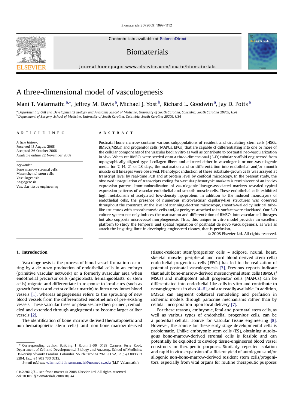 A three-dimensional model of vasculogenesis